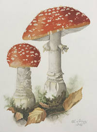 image of Soma: Divine Mushroom of Immortality (limited issue, 1/680 copies)