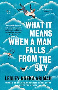 What It Means When A Man Falls From The Sky: From the Winner of the Caine Prize for African...