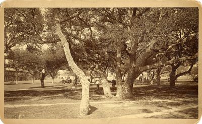 [VIRGINIANA] BOUDOIR CABINET CARD] FORT MONROE. OLD POINT COMFORT. 1887