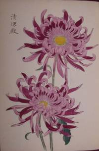 [One Hundred Chrysanthemums] by HASEGAWA, Keika - 1893