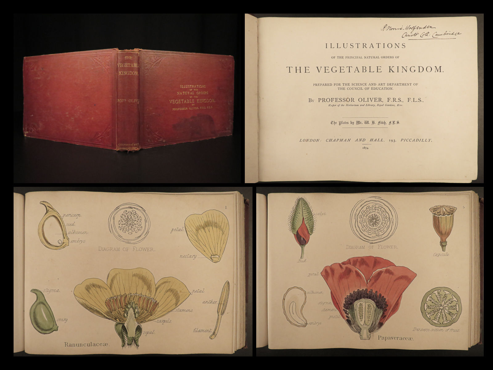 Illustrations of the Principal Natural Orders of the Vegetable Kingdom