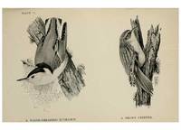 Reproducción/Reproduction 7180143219: Birdcraft :. New York :Macmillan Co.,c1897.