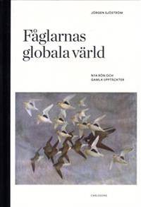 Fåglarnas globala värld. Nya rön och gamla…