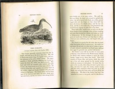 A History of British Birds. The Figures engraved…
