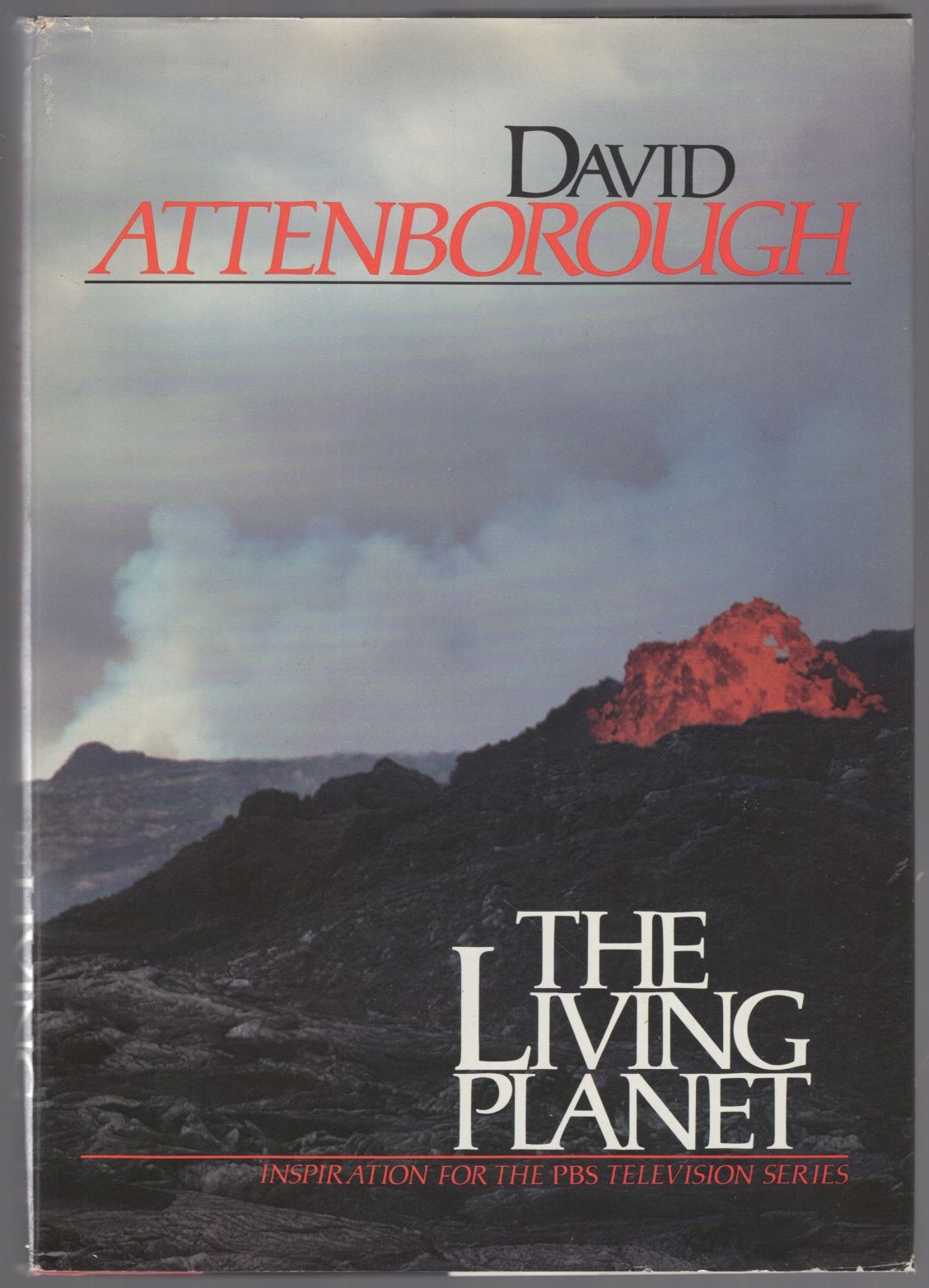 The Living Planet: A Portrait of the Earth [Book], image size:1128x1564