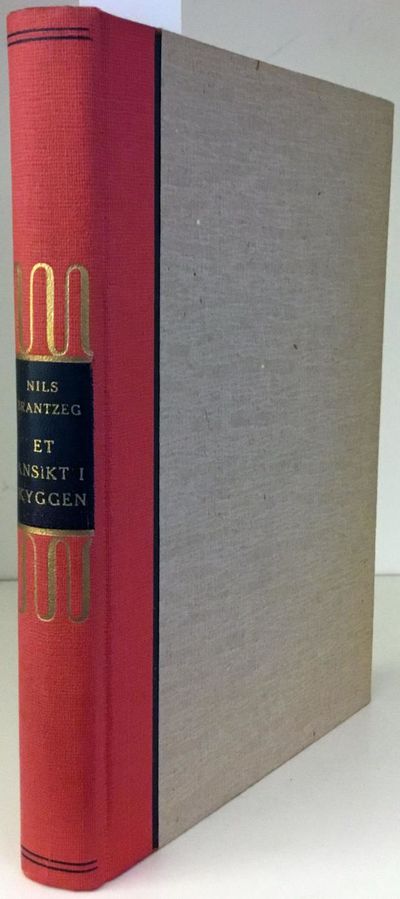 Et ansikt i skyggen. Roman