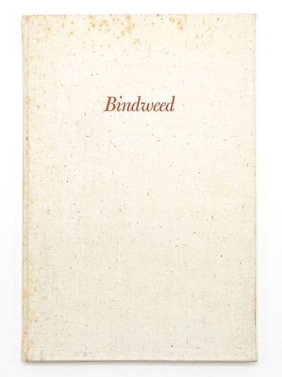 BINDWEED