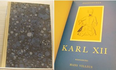 Karl XII. Ögonvittnen.