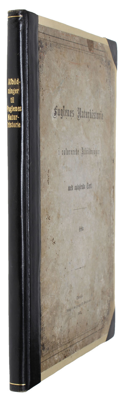 Afbildninger til Fuglenes Naturhistorie med oplysende Text. (photo 3)