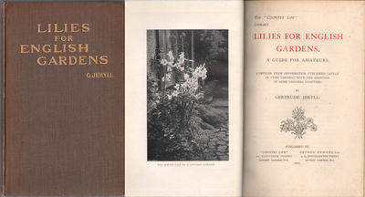 LILIES FOR ENGLISH GARDENS. A Guide for Amateurs.…
