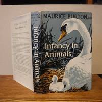 image of Infancy in Animals