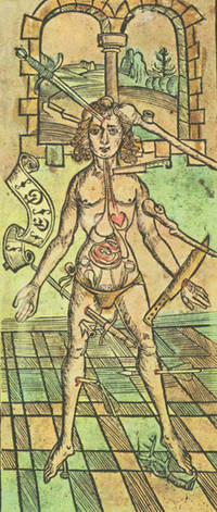 image of Dis ist das Buch der Cirurgia; Hantwirckung der Wund Artzny