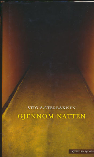 Gjennom natten