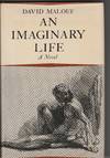 An Imaginary Life