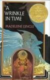 A Wrinkle in Time (A Wrinkle in Time Quintet) by Madeleine L'Engle - Hardcover - 2004-07-05 - from Books Express (SKU: 0374386137n)