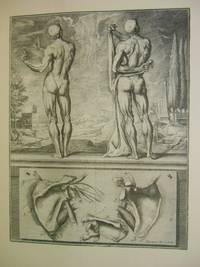 El Atlas Anatomico de Crisostomo Martinez