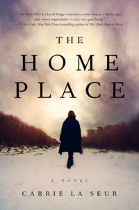 The Home Place : A Novel