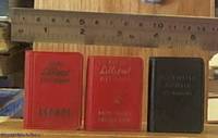 image of Illustrated Gospels in Maori