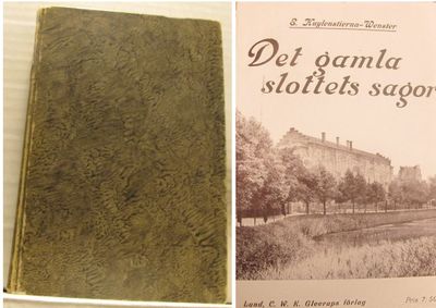 Det gamla slottets sagor. Historiska skildringar…