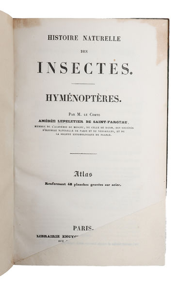 Histoire Naturelle des Insectes. Hyménoptères.…