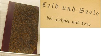 Leib und Seele bei Fechner und Lotze als…