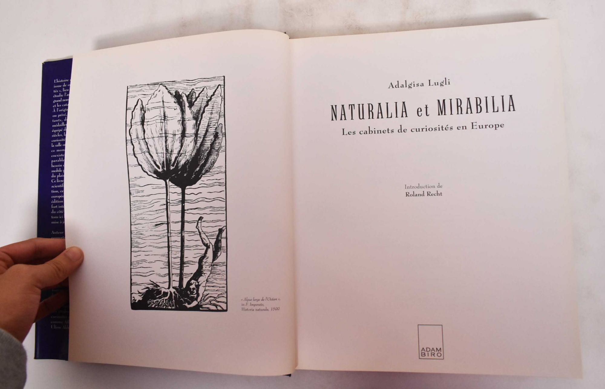 Naturalia et mirabilia Adalgisa Lugli
