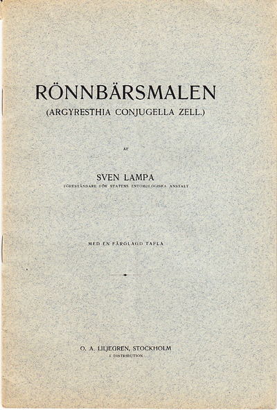 Rönnbärsmalen (Argyresthia conjugella zell).