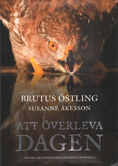 ATT ÖVERLEVA DAGEN. Om fåglars sinnen och…