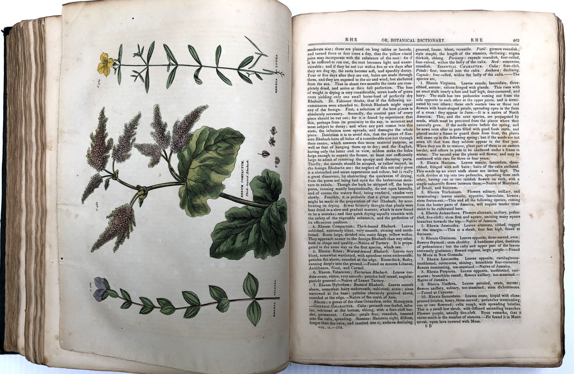 BIBLIO The Universal Herbal; or, Botanical, Medical, and Agricultural