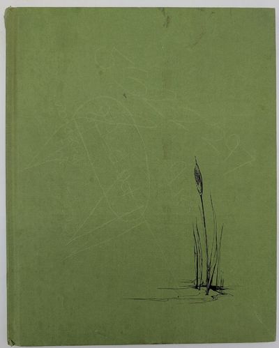 Between Cattails