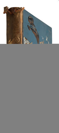 Nordens Fåglar. Ny utvidgad och omarb. Upplaga af C.J. Sundevalls Svenska Foglarna.