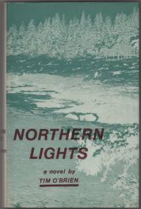 image of Northern Lights