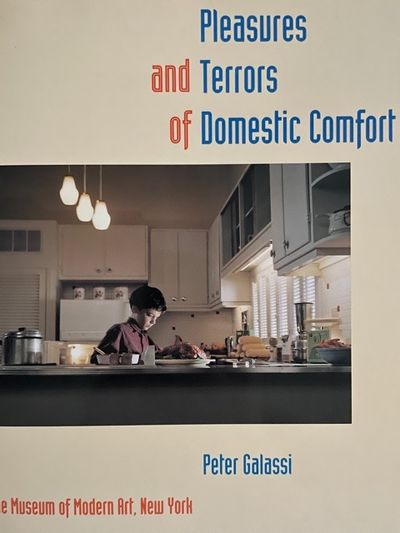 Pleasures And Terrors Of Domestic Comfort by Galassi, Peter