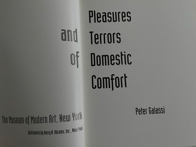 Pleasures And Terrors Of Domestic Comfort by Galassi, Peter