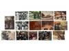 View Image 1 of 7 for 1970s California Outlaw Bikers Photo Archive Inventory #21753