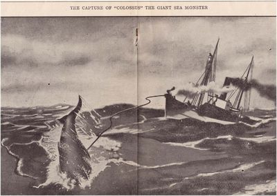 Thar She Blows. The Story of the Whale.
