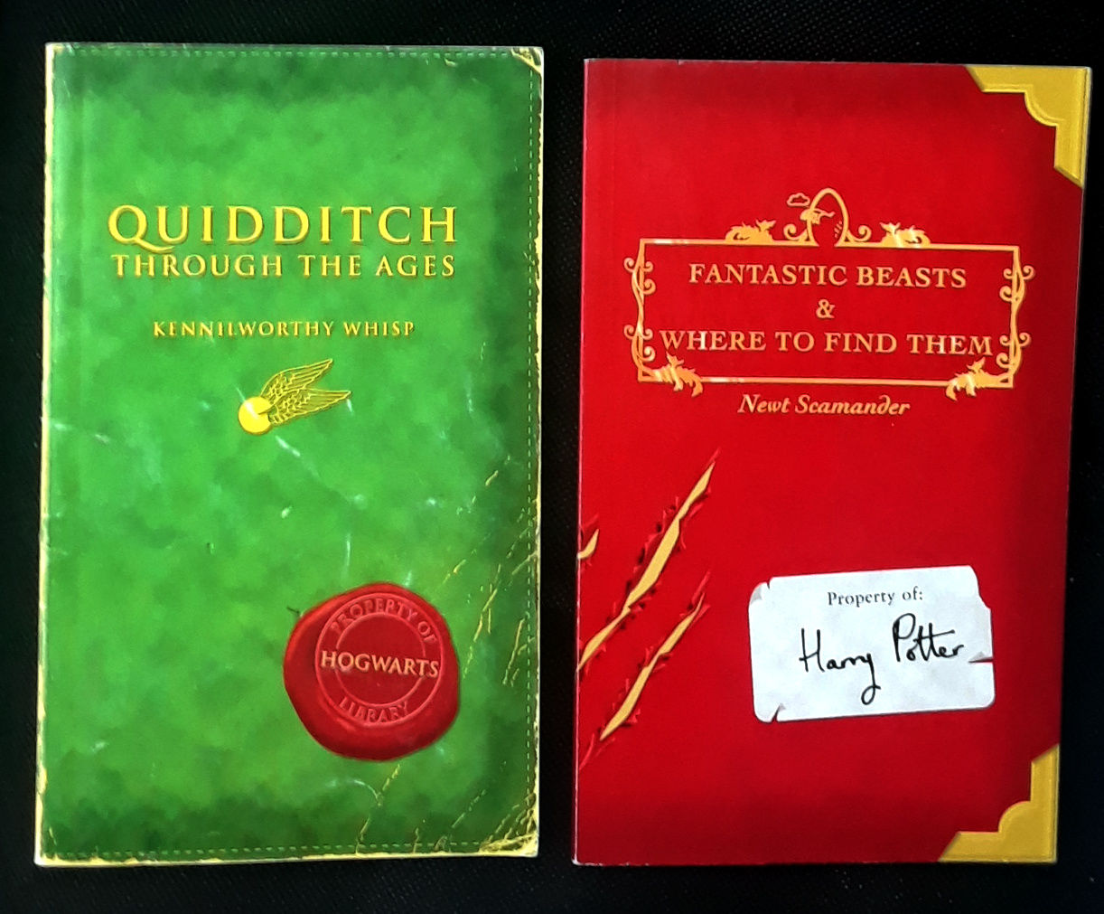 quidditch through the ages book quidditch through the ages book
