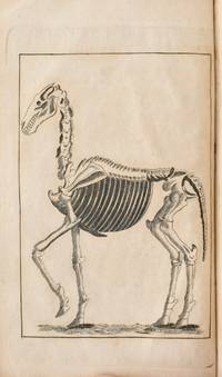 [HORSES] THE POCKET FARRIER. OR GENTLEMAN'S GUIDE IN THE MANAGEMENT OF HORSES UNDER VARIOUS DISEASES. WITH AN EXPLANATION OF THE SYMPTOMS ATTENDING THE DIFFERENT DISORDERS, AND THE SHORTEST, PLAINEST, AND MOST HUMANE METHODS OF CURING THEM. DIRECTIONS FOR THE JUDGING OF THE HORSE'S AGE, AND USEFUL OBSERVATIONS ON THE BREEDING, RAISING, AND TRAINING OF COLTS