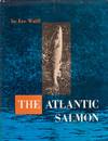 The Atlantic Salmon