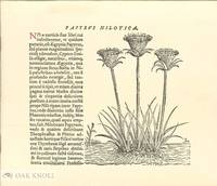 DEPARTMENT OF RARE BOOKS AND MANUSCRIPTS.|THE