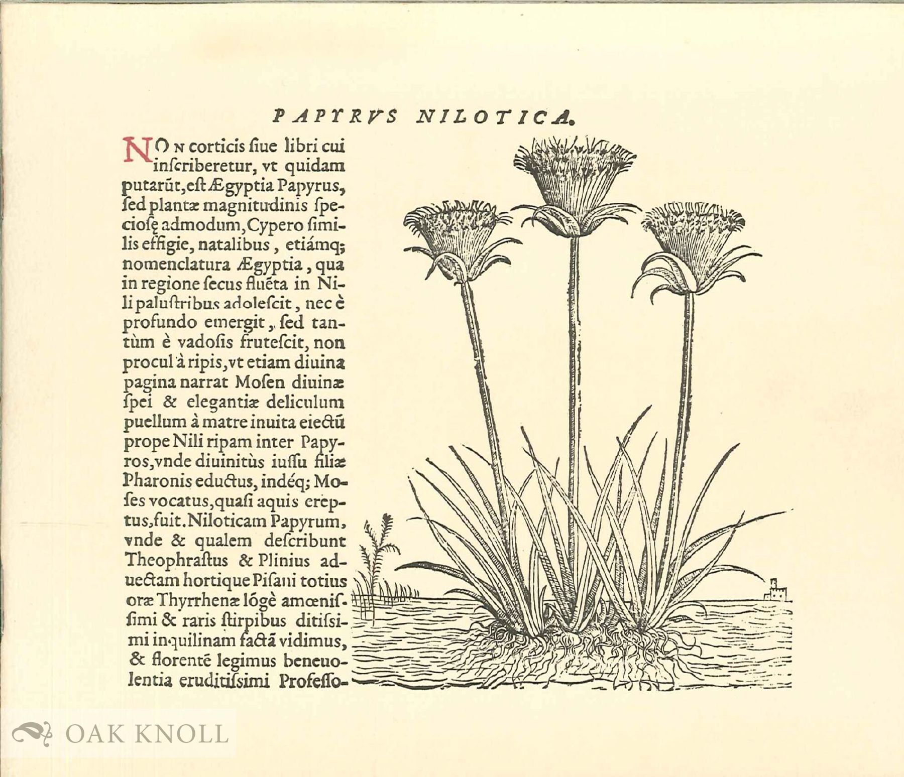 DEPARTMENT OF RARE BOOKS AND MANUSCRIPTS.|THE