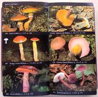 The Audubon Society Field Guide to North American Mushrooms
