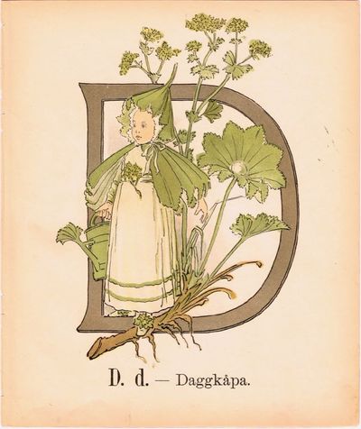 Prinsarnes Blomsteralfabet. D. d. – Daggkåpa.
