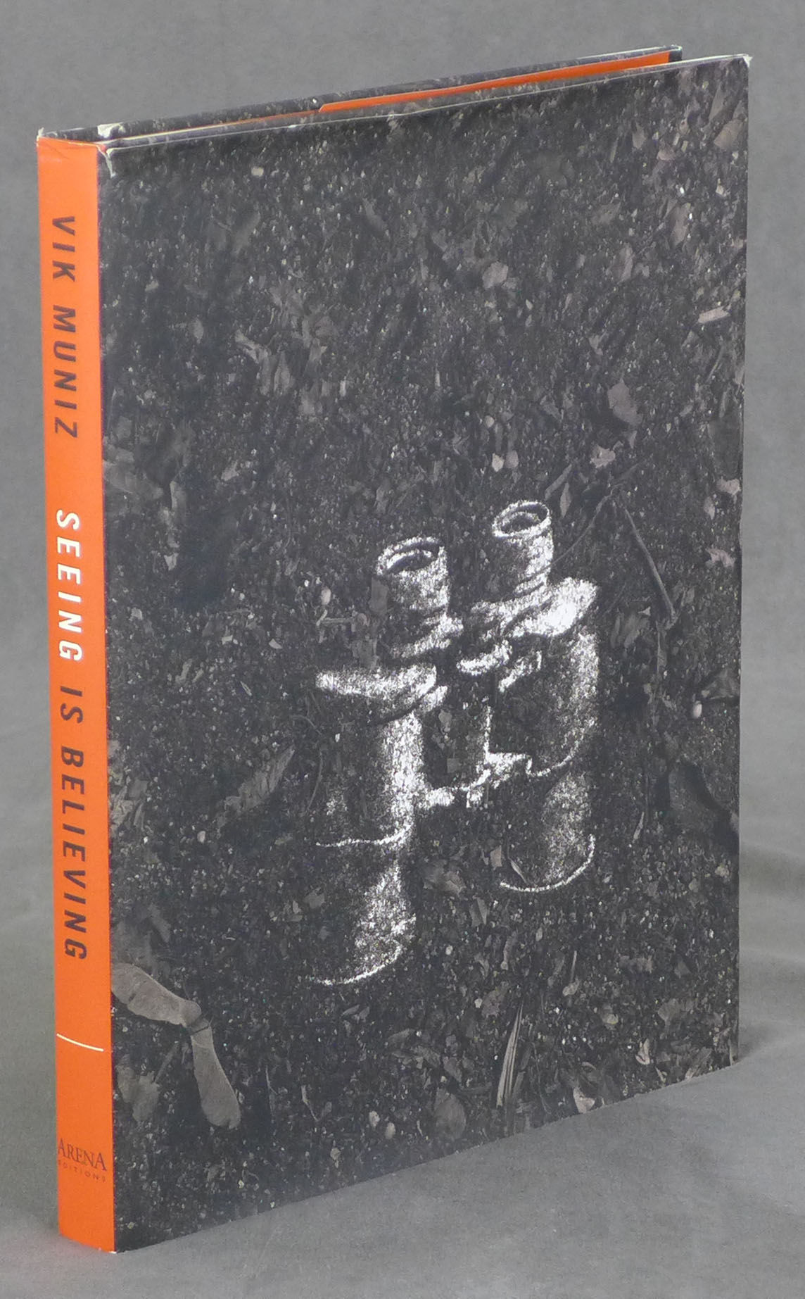 SEEING IS BELIEVING /Vik Muniz ヴィック・ムニーズ Vik Muniz: Seeing Is Believing by Muniz, Vik and Charles Ashley