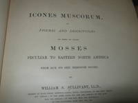 cover of Icones Muscorum, Or Figures And Descriptions Of Most Of Those Mosses Peculiar To Eastern North America Which Have Not Been Heretofore Figured.