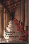 STUMBLING TOWARD ENLIGHTENMENT