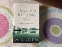 The Places That Scare You by Pema ChÃ¶drÃ¶n - August 2, 2004