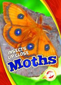 Moths