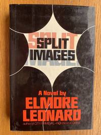 cover of Split Images