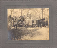 image of A NEW YORK COMPANY BEGINS TO STRIP BARE THE VIRGIN LOWLAND FOREST NEAR CHARLESTON DURING THE SOUTH CAROLINA LUMBERING BOOM - 18 photographs detailing the operations of the A. C. Tuxbury Lumber Company